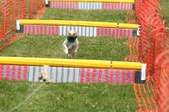 Enlarge photo 558