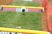 Enlarge photo 559