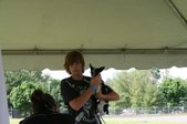 Enlarge photo 578