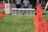 Enlarge photo 599