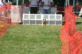 Enlarge photo 597