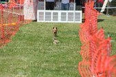 Enlarge photo 598