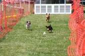 Enlarge photo 616
