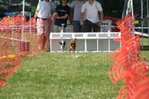 Enlarge photo 621