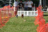 Enlarge photo 622