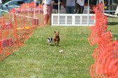 Enlarge photo 624