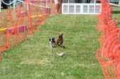 Enlarge photo 626
