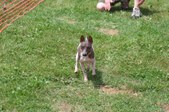 Enlarge photo 631