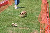 Enlarge photo 592