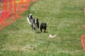Enlarge photo 637
