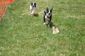 Enlarge photo 639