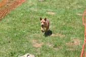 Enlarge photo 596