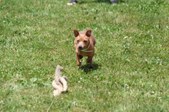 Enlarge photo 594