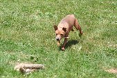 Enlarge photo 593