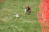 Enlarge photo 643