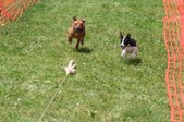 Enlarge photo 646
