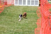 Enlarge photo 647
