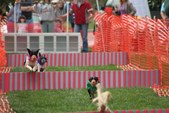 Enlarge photo 28