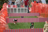 Enlarge photo 29