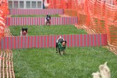 Enlarge photo 30
