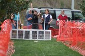 Enlarge photo 32