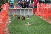 Enlarge photo 36