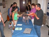 Enlarge photo 8