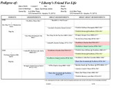 Enlarge PDF 8