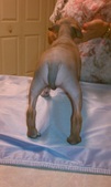 Enlarge photo 2