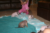 Enlarge photo 104