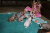 Enlarge photo 91