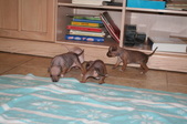 Enlarge photo 53
