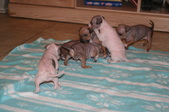 Enlarge photo 43