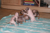Enlarge photo 42