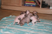 Enlarge photo 41