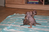Enlarge photo 26