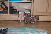 Enlarge photo 22