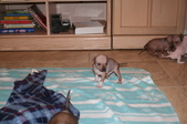 Enlarge photo 16