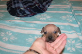 Enlarge photo 15