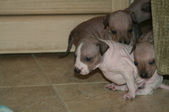 Enlarge photo 14