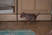 Enlarge photo 12