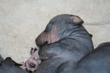 Enlarge photo 66