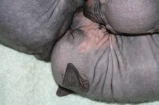 Enlarge photo 103