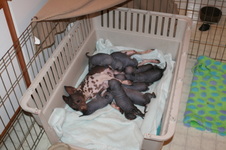 Enlarge photo 110