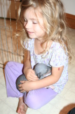 Enlarge photo 121