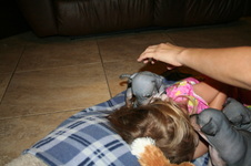 Enlarge photo 132