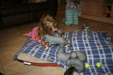 Enlarge photo 136