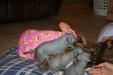 Enlarge photo 138