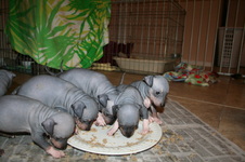 Enlarge photo 146