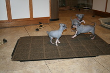 Enlarge photo 46